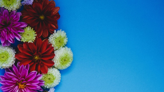 英超第5輪南安普頓2-1切爾西 斯特林破門難救主.