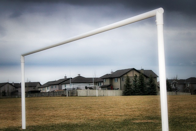 败的教训 败的教训