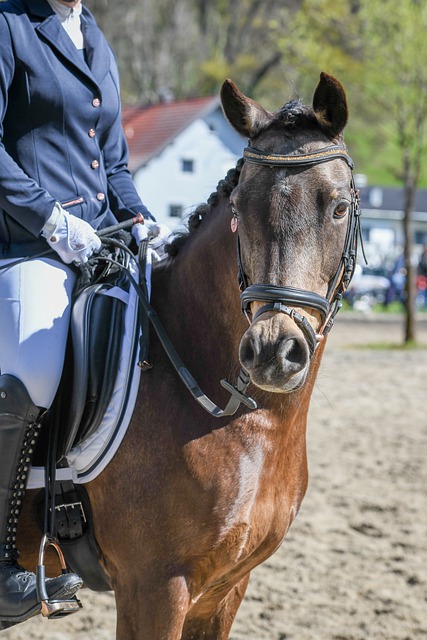 布克颓势不振，太阳输给森林狼，季后赛前景堪忧.
