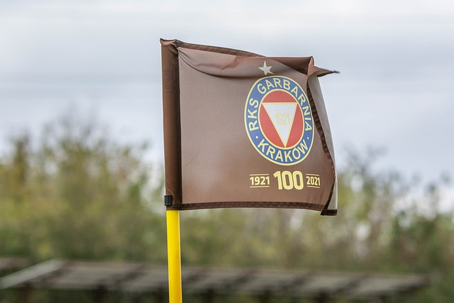 生涯的案例 生涯的案例