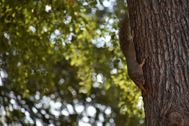 刻引发了体 刻引发了体