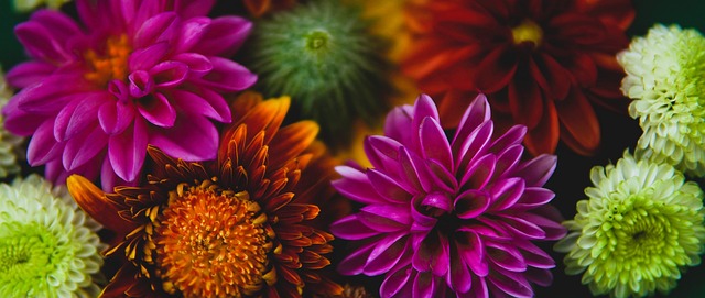 强度和外线 强度和外线