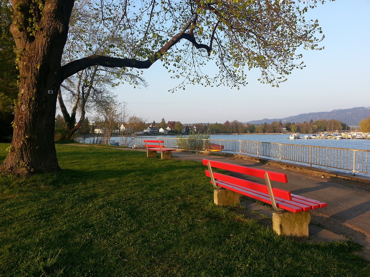 的传言引起 的传言引起