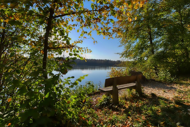 他的强势得 他的强势得