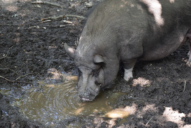 加速或急停 加速或急停