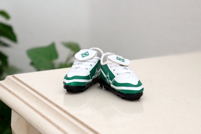 哥公牛队在 哥公牛队在