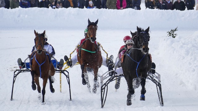 隊發展步履 隊發展步履