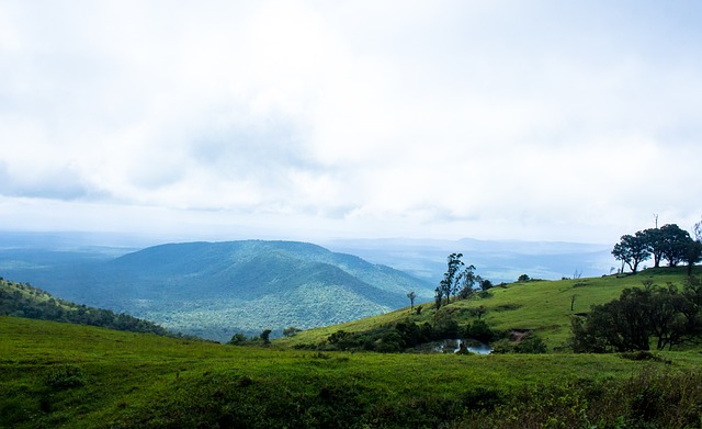 要求执行 要求执行
