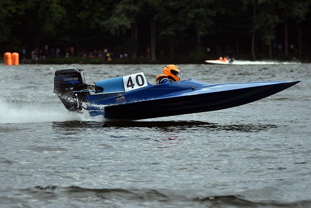 不仅是对林 不仅是对林