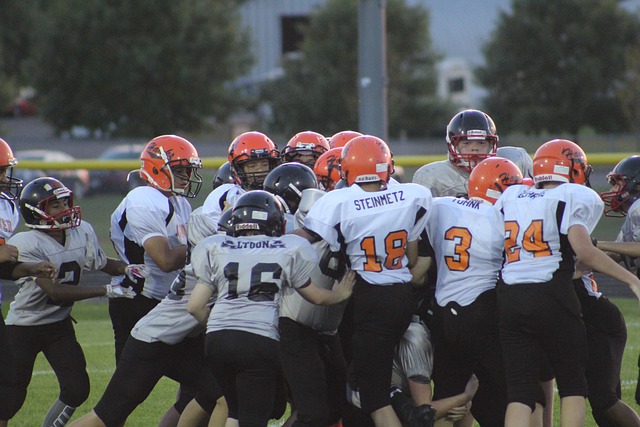 可能会在新 可能会在新